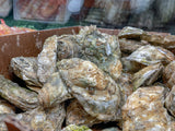 ⚜️30 Delaware Bay Oysters (Medium-Cupped)
