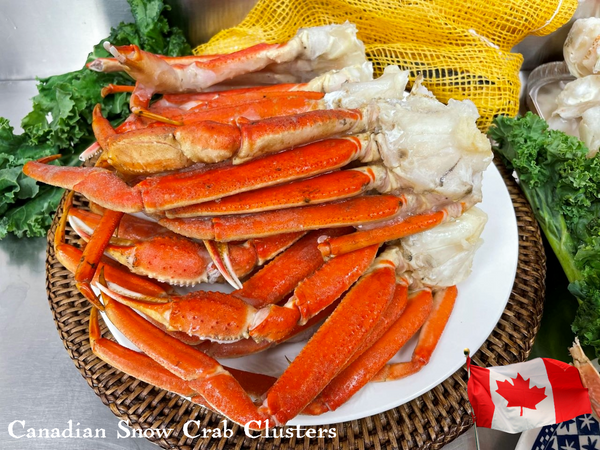 JUMBO Large Blue & Snow Sensation – Crab Depot