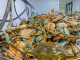 LIVE - Blue Crabs by the  1/2 Bushel