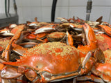 š Captain's Fat Crab JUMBO Dozen