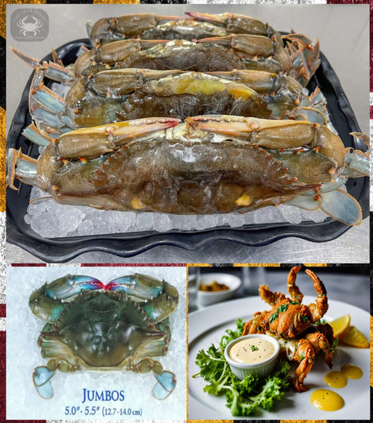 Jumbo_Soft_Shells_70626_grande