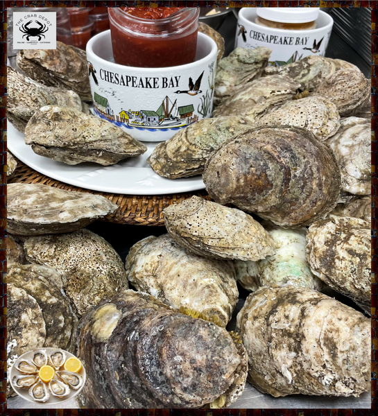 50 ct.) Bay Medium-Cupped Oysters – Crab Depot