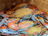 Harvest Double Dozen X-Large with Corn