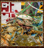 LIVE - Blue Crabs by the  1/2 Bushel