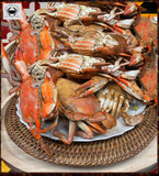 🎁Blue Crab "Jimmy" Double Dozen Gift