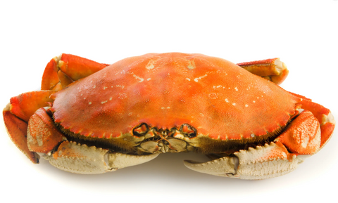 Wild Caught Whole Dungeness Crab - FROZEN