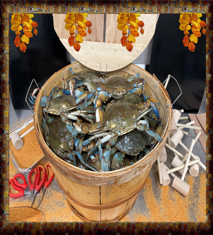 Live Blue Crabs