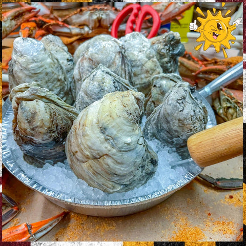 Oysters, Mussels, Tools
