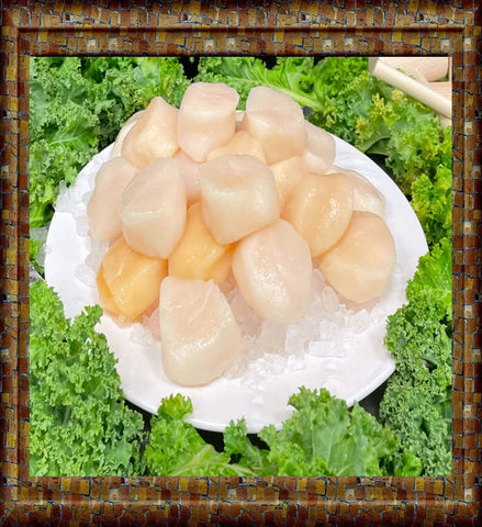North Atlantic Scallops