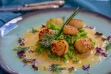 ⚓ 2 lbs. Nantucket Wild-Caught Scallops, 10-20 ct.
