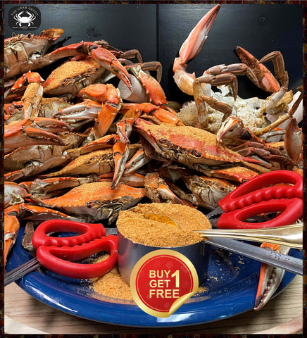 🏀BOGO "Double Dozen Large, 6"-6.5" Madness