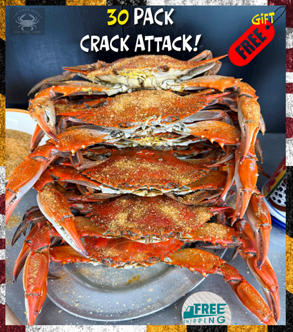 🦩30 PACK Crack Attack (JUMBO Large, 6"-6.5")