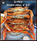 ⚡30 PACK (JUMBO Large, 6"-6.5")
