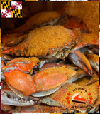 ⛽(3) Dozen Small Bay USA Male Blue Crabs