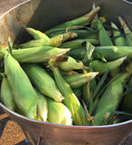 💥Labor Day (24) Large with (4) Corn