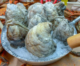 Harvest Trio ~ Female Mix, Crab Cakes, Bay Oysters