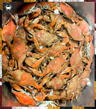 🦩½ Bushel Small Bay USA Male Blue Crabs