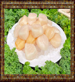 Stock up & Save ~ (5 lbs.) 10-20 ct. Dry Day Boat Scallops {Flash Frozen}