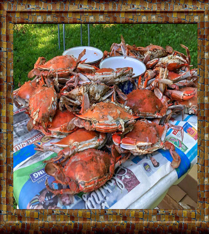 Free Shipping ~ Female Sook Blue Crab Feast