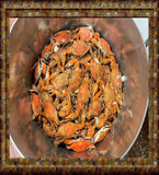 Free Shipping ~ (Local) JUMBO Blue Crab Feast