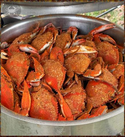 ⚡Chesapeake Bay Male Dozen MIX, 5"-6"