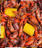 ⚓(6 lb.) bag Louisiana Cajun Crawfish