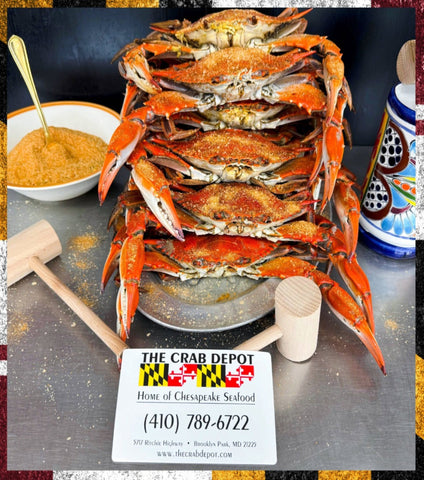 🦩Steamed Male Large, (6"-6.5") Dozen