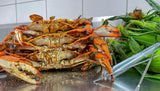 🔅Tangier Double Dozen Large Male & Shrimp