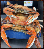 Steamed Male Large, (6"-6.5") Dozen