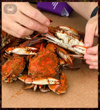 Steamed Male Small, (5"-5.5") Dozen
