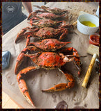 Double Dozen Small Blue Crabs, 5"-5 ½