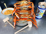 🆕Hard & Soft Crab Combo {XL & Whales}