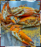 ✨Steamed Female Large, (6"-6½") Dozen