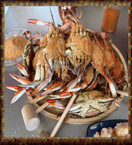 🔆Captain's Half Bushel Sook Surprise