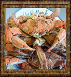 Captain's Jumbo Dozen {Mix of Large/X-Large}