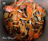 🏀BOGO "Double Dozen Large, 6"-6.5" Madness