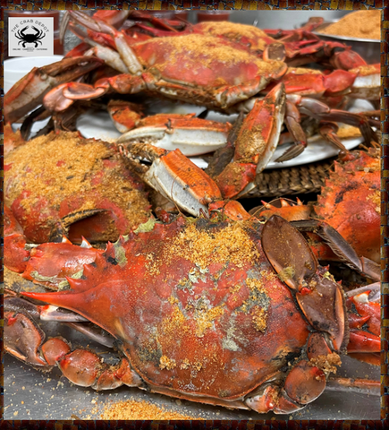 🎃 Captain's Fat Crab JUMBO Dozen