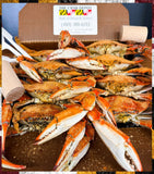⚡Jimmy & Bay ½ Bushel Feast, [5"-6.5"]