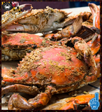 Mardis Gras Medium Sook Blue & Snow Deal