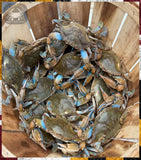*Live* Male & Female Dozens, [from 5" to 7"+]