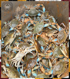 A pile of live blue crabs with blue-tipped claws and legs, piled inside a large container. A circular logo in the top-left corner features a crab and the text 'Blue Crabs'.