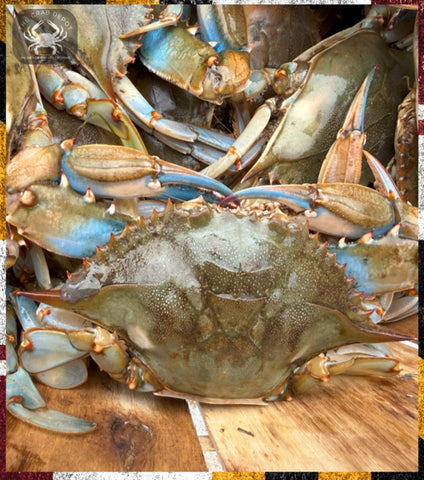 A pile of live blue crabs on a wooden surface, showing their blue and green shells with orange accents. A watermark logo for 'The Crab King' is visible in the top-left corner.
