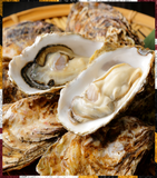 ⚓(100 ct.) LIVE Medium-Cupped Oysters