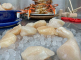 Stock up & Save ~ (5 lbs.) 10-20 ct. Dry Day Boat Scallops {Flash Frozen}