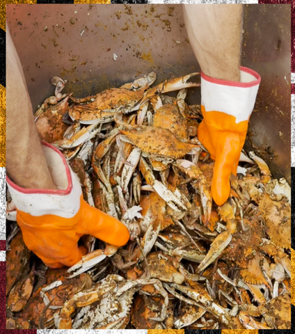 ⚓(3) Dozen Small Bay USA Male Blue Crabs