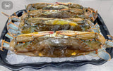 🆕Hard & Soft Crab Combo {XL & Whales}