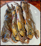MD Soft Shell Hotel Prime Crabs, 4"-4 ½"