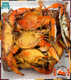 🍁Solomons Island JUMBO Male Half Bushel