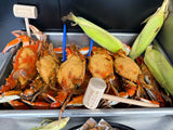 🆕XL (24) Steamed Male Blue Crabs, 6½"-7"