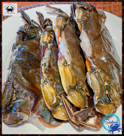 (6) Whale Soft Shells, 6"